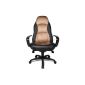 Topstar SC20FTC7 Chefsessel Speed ​​Chair armrests included (household goods)