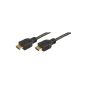 BIGtec 1.4 High Speed ​​HDMI cable with Ethernet 0.50m FULL HD 1080p 0.5m 0.5m St / St gilded / black HDMI 1.4 (Electronic)