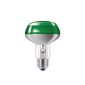 Philips NR80 reflector lamp 60W E27 green 60W (Housewares)