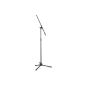 microphone stand alone