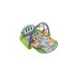 Fisher Infant Carpet Piano (Baby Care)