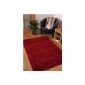 Thick carpets Soft Shaggy Red Luxurious 9 Sizes Available 80cmx150cm (2ft7 