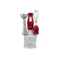 Techwood TMS-8155 Mixer Plunging 3 in 1 Red 24 x 13.5 x 23 cm (Kitchen)