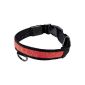 Smartfox luminous dog collar collar LED reflector light with battery -. Size M - Red (Misc.)