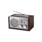 Scott RX 19 radio tuner (FM / AM Tuner, SD / MMC card reader, USB) brown (Electronics)