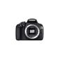 Canon EOS 1200D Digital SLR Camera (18 Megapixel APS-C CMOS sensor, 7.5 cm (3 inch) LCD display, Full HD) body only (Electronics)