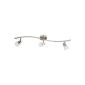 Reality lights R8831-07 halogen ceiling spot, incl. 3x G9, with hinges, in satin nickel, glass in white (household goods)