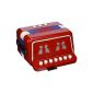 Vilac - 8300 - 1st Age - Music - Accordion (Baby Care)