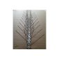 10 items (5 m) anti pigeon spikes 50 cm, 4 rows of stainless steel spikes