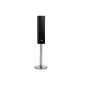 Auna Vertical B1 - Design hifi speaker 120W microSD Bluetooth USB AUX - Black (Electronics)