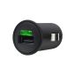 Belkin Car Charger (USB, 12V, 1000 mA) incl. Charging cable for iPod / iPhone (electronics)