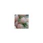 Pineapple Strawberry 20 seeds, white strawberry seeds