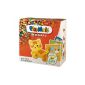 Playmais - 160182 - KIT Crafts - Gallery De Compagnie Animals (Toy)