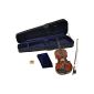 Steinbach 4/4 violin in SET ebony fittings