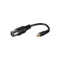 Wentronic 67227 cable 0.1 m Black (Accessory)