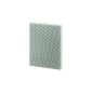 Fellowes HF-300 large HEPA filter, white (Office supplies & stationery)