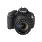 Canon EOS 600D Digital SLR Camera (18 Megapixel, 7.6 cm (3 inches) swiveling display, Full HD) Kit includes the EF-S 18-135mm 1:. 3.5-5.6 IS (Electronics)