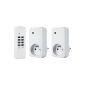 Flamingo FA500S / 2F Set of 2 remote outlets on / off (Tools & Accessories)