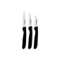 Zwilling 38115001 vegetable knife set, 3 pcs., Plastic, black (household goods)