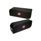 Raikko Evolution Bluetooth stereo mobile mini active speaker with NFC and USB (5000mAh) AccuPack / Replacement Battery (2x 3 Watt, microUSB, Line-IN) (Electronics)