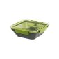 Emsa 513,952 Bento Box Lunchbox Square, 0.9 liter with inserts, gray / green (household goods)