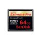 SanDisk Extreme Pro CompactFlash 64GB Memory Card (Personal Computers)