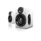 Philips BTS5000W / 10 Wireless Stereo Speakers Apt-X Bluetooth AAC Bass thumping 100W (Electronics)