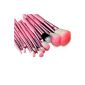 Glow pink 12 Professional makeup brush set with beautiful suitcase (Misc.)