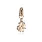 Fossil Ladies Stainless Steel Charm Zirconia rose-gold JF01163791 (jewelry)