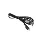 SAMSUNG - USB CABLE ORIGINAL SAMSUNG GT C3595 APCCBU10BBE (Electronics)