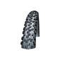 Schwalbe Black Jack Tire Puncture Black 24 x 2.10 