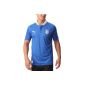 PUMA Men's Football Shirt Italia Home Replica (Sports Apparel)