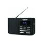 TechniSat Digit Radio 210 IR (portable DAB + / FM & Internet Radio) (Electronics)