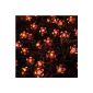 Innoo Tech Solar Fairy Lights Party Garden flowers for decoration lighting in outdoor 5m 50s Red