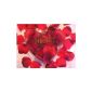 I LOVE YOU 17283 Rose petals, red, heart box 1