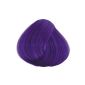 La Riche Directions Hair Colour Hair Colour (Violet) 88ml (Health and Beauty)