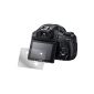 Sony DSC-HX400V dipos protector (6 pieces) - crystal clear film Premium Crystal Clear (Electronics)
