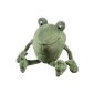 Heunec 793,774 - Janosch Frog (toy)