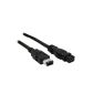 InLine FireWire cable, 6-pin / 9-pin male / male, 1m (accessory)