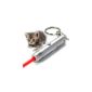 Dog cat $ ,, ,, SAFETY Laser Pointer 1MW assorted colors (Misc.)