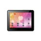 Technaxx BigTAB 24.6 cm (9.7 inches) Tablet PC (1.2GHz, 1GB RAM, 8GB of internal memory, Android 4.0) Black (Personal Computers)