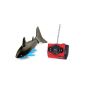 Brigamo 444 -. Robo Shark RC Remote Controlled Fish incl remote control (Toys)