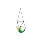 Amazonas AZ-2030487 Kid's Swinger, green (garden products)