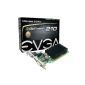 EVGA 01G-P3-1313-KR GeForce GT 210 graphics card Passive (PCI-e, 520MHz, 64-bit, 1.2GHz, 1GB, GDDR3, VGA, DVI, HDMI, 1 GPU) (Personal Computers)