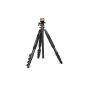 Togopod Survival Pat Duo Tripod with Ball Head (weight 2162g, max height 170cm, min height 56cm, 49cm packing size, load capacity 3kg) (Electronics)