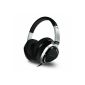 class multimedia headphones with small weaknesses