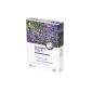 10 x luxury walk-Vitalpflaster tree vinegar and essential ingredients of lavender flowers - Original from Korea (Personal Care)