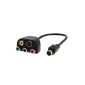 SODIAL (R) Cable video adaptation 9-pin S-Video to RCA RGB for HDTV (Electronics)