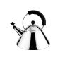 Alessi kettle made of stainless steel with handle and bird-shaped whistle in PA, black (household goods)