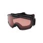 Goggle Alpina PHEOS GTV S1-S2 in various. Color model 2014/15 NEW (equipment)